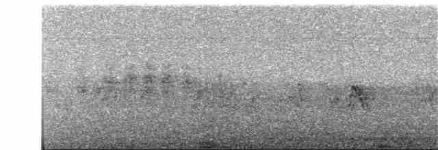 Spotless Starling - ML112839181