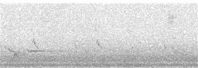 Желтогрудый радужник (striatus) - ML112839951