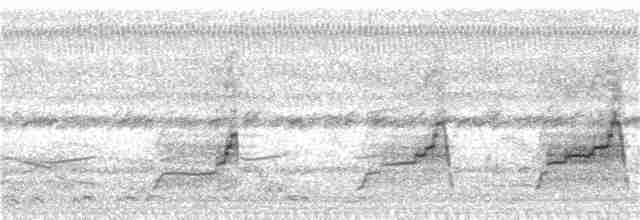 Ganso del Orinoco - ML112852861