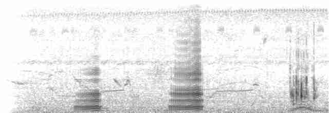 Ganso del Orinoco - ML112852871