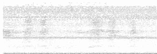 Каролинский крапивник - ML112858131