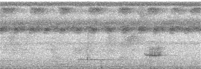 Лінивка-коротун сірошия - ML112871081