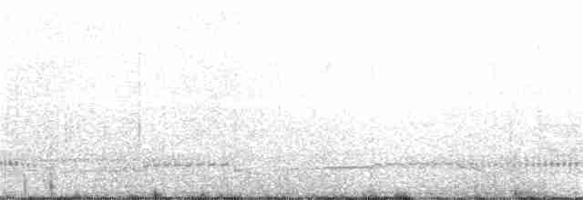 tučňák nejmenší - ML112950351