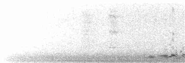 Flötenkrähenstar [tibicen-Gruppe] - ML112957471