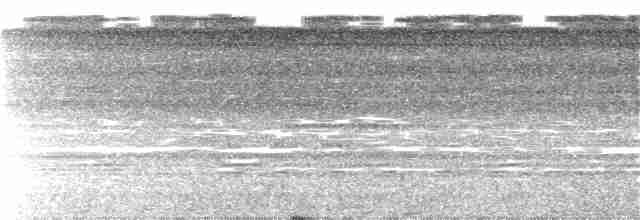 Ladder-tailed Nightjar - ML113002851