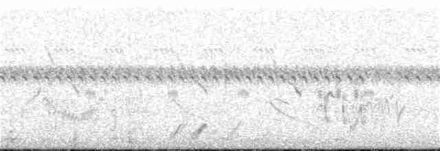 Yellow-necked Spurfowl - ML113003041