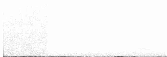 Белохвостая куропатка - ML113027881