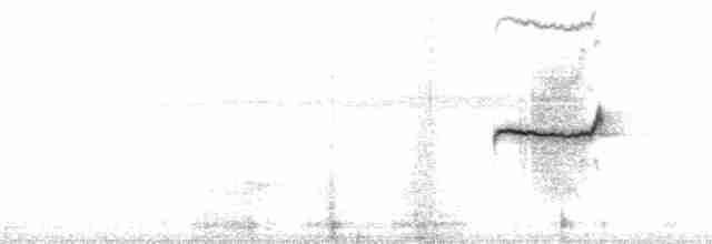 Eufonia Violácea - ML113053
