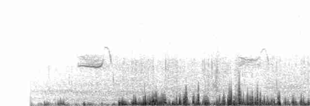 Iberian Gray Shrike - ML113085081