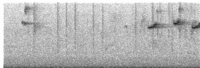 Синегорлый солнечник - ML113104711