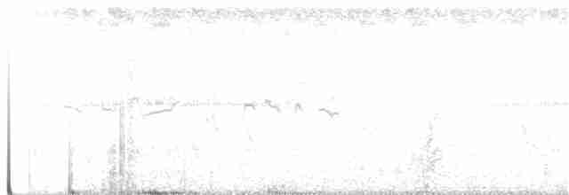 Eastern Meadowlark (Eastern) - ML113147711