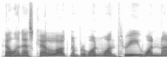 ML113194 visualization