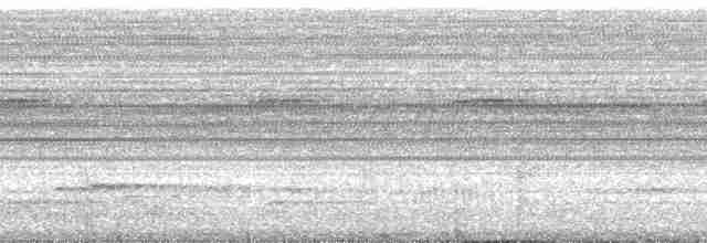 Trogon rosalba (groupe collaris) - ML113240