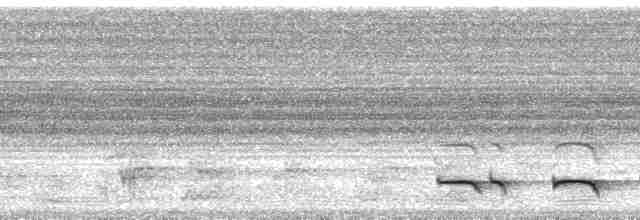 Trogon rosalba (groupe collaris) - ML113241
