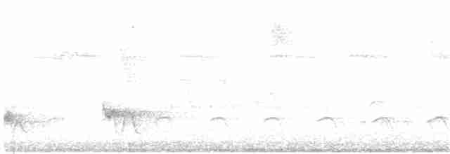 Лінивка-коротун сіроголова - ML113294711