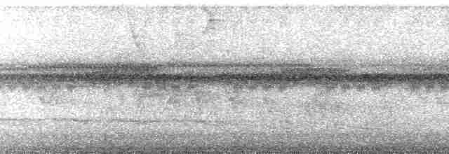 Декол плямистоволий (підвид melanochloros/nattereri) - ML113409