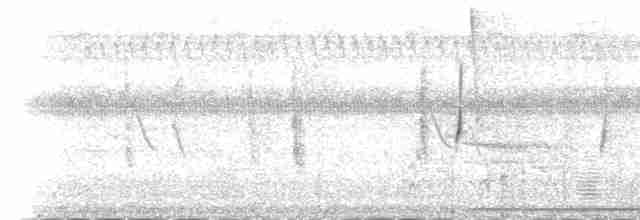 strakapoud osikový (ssp. pubescens/medianus) - ML113419011