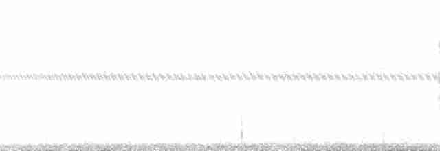 Grass Wren (Pampas) - ML113425