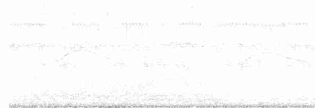 White-tailed Nightjar - ML113452501