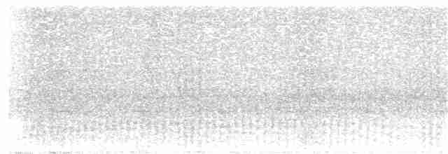 Graubrust-Ameisendrossel - ML113453571