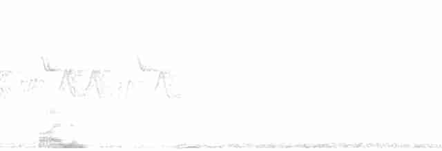 Cerulean Warbler - ML113505