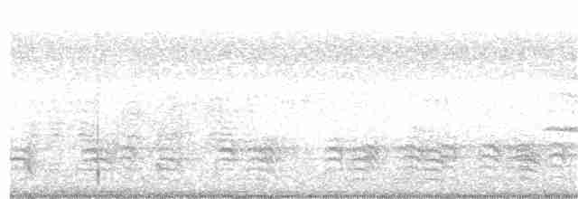 Weißbrustkleiber - ML113514061