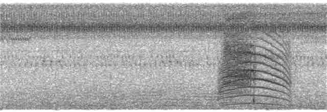 Пересмішник сірий - ML113567961