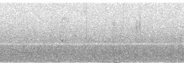 Spot-necked Babbler - ML113570