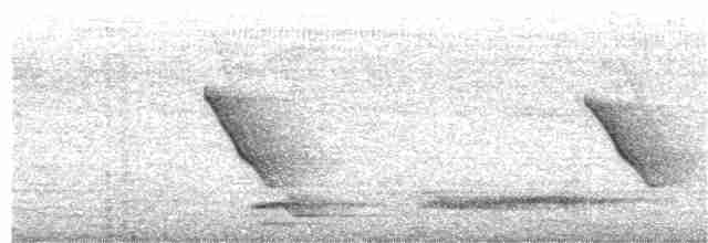 Common Tailorbird - ML113602201