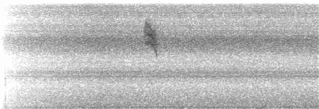 Spotted Flycatcher - ML113608691