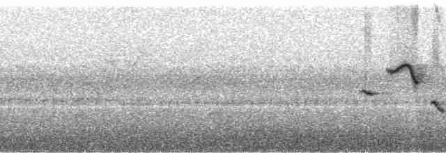 Трав’янка сіра - ML113609