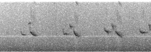 Spot-throated Babbler - ML113611