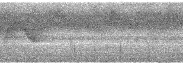 Бурый павлиний фазан - ML113647