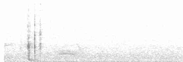 Dunkelkappen-Sensenschnabel - ML113652651