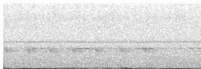 Grallaire du Tachira - ML113660011