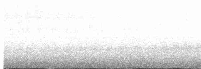 Grallaire du Tachira - ML113660781