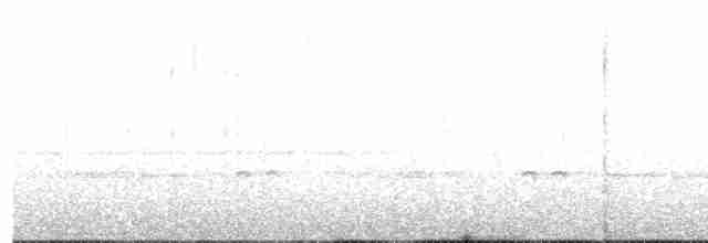 Grallaire du Tachira - ML113666061