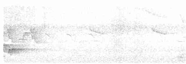 Сахалинский сверчок - ML113669111