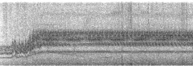 Great Eared-Nightjar - ML113677