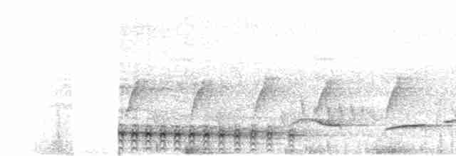 Бурый павлиний фазан - ML113678