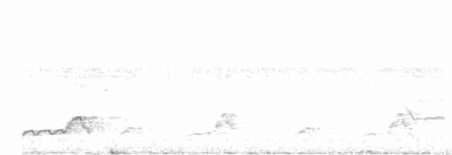 Schwarzkehl-Nachtschwalbe - ML113701561