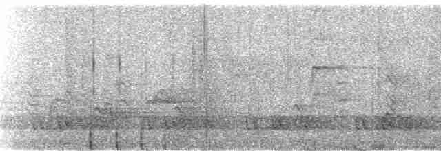 Бурый павлиний фазан - ML113712