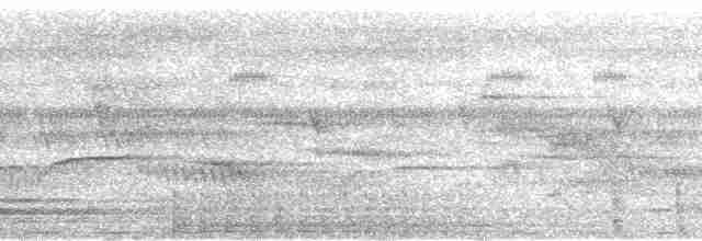 Бурый павлиний фазан - ML113720