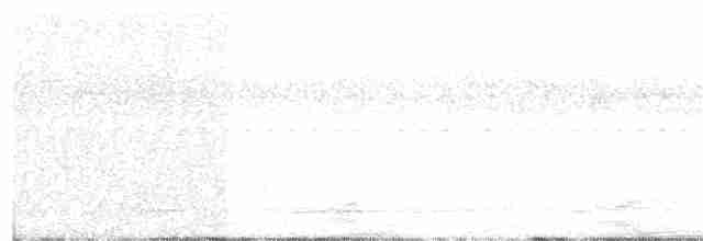 Ara hyacinthe - ML113876281