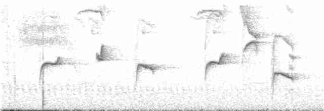 Тапіранга білодзьоба - ML113883301