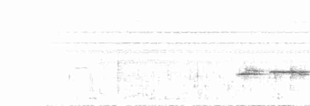 Золотокіс рувензорський (підвид archeri) - ML113930671