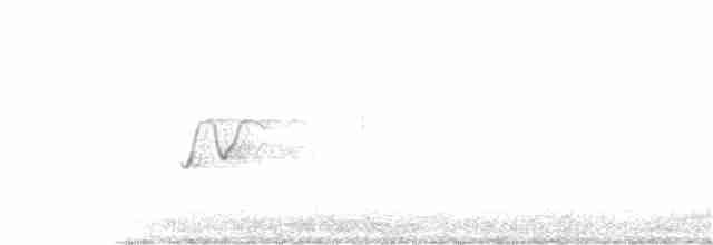 Şili Tinamusu - ML114040411