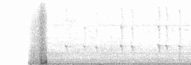 Wedge-tailed Sabrewing - ML114128001