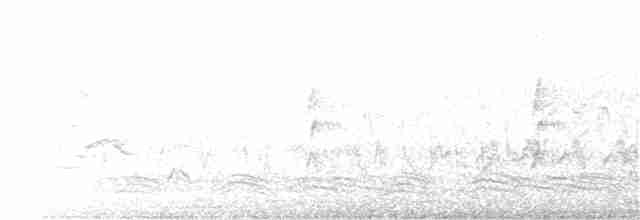 Australian Reed Warbler - ML114168151