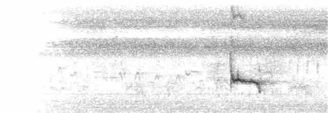 Loggerhead Shrike - ML114215671